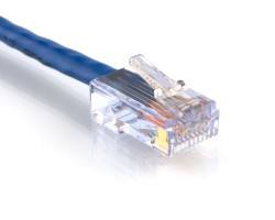 3 Ft Cat6 Patch Cable
