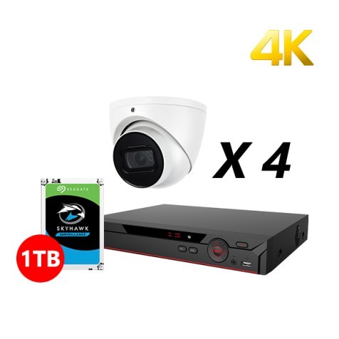 4 Channel, 4 HD 4K, DH OEM OEM Kit, White