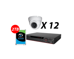 16 Channel, 12 HD 5MP AI Cameras, DH OEM Kit
