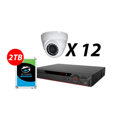 16 Channel, 12 HD 5MP AI Cameras, DH OEM Kit
