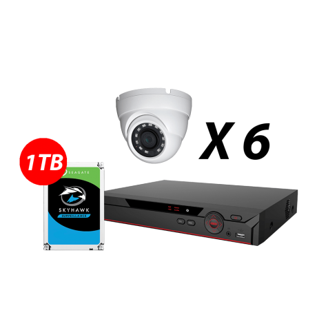 8 Channel, 6 HD 5MP AI Cameras, DH OEM Kit