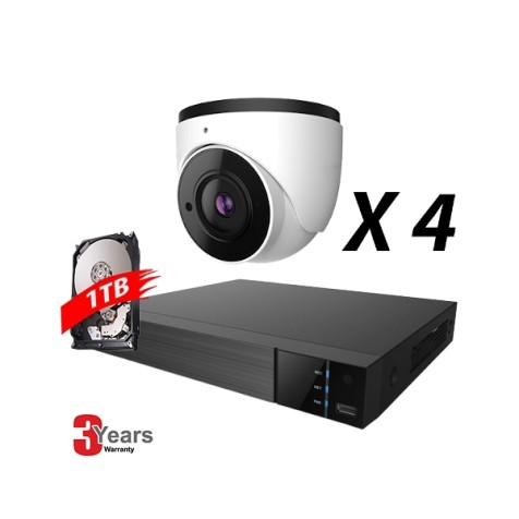 4 Channel, 4 IP 5MP Cameras, EyeOnet Kit, Eyeball