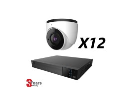16 Channel, 12 IP 5MP Cameras, EyeOnet Kit, Eyeball