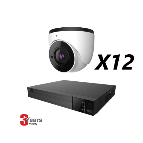 16 Channel, 12 IP 5MP Cameras, EyeOnet Kit, Eyeball