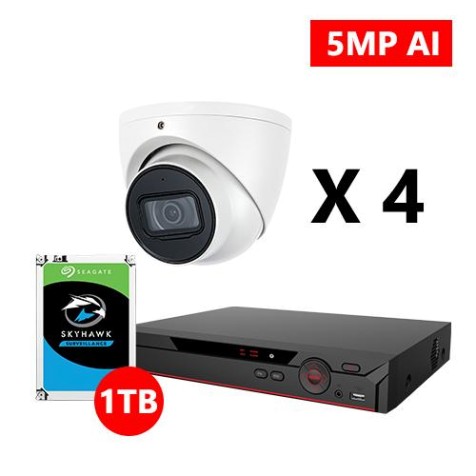 Four 5MP IP AI IP Turret White Cameras Kit, Dahua OEM