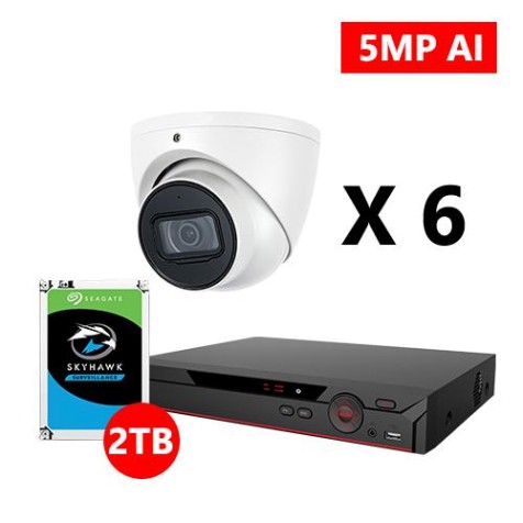 Six 5MP IP AI Starlight Turret White Cameras Kit, Dahua OEM