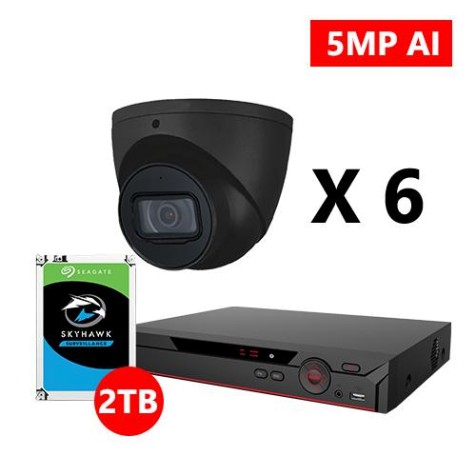 Six 5MP IP AI Starlight Turret Black Cameras Kit, Dahua OEM