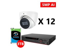 Twelve 5MP IP AI IP Turret White Cameras Kit, Dahua OEM