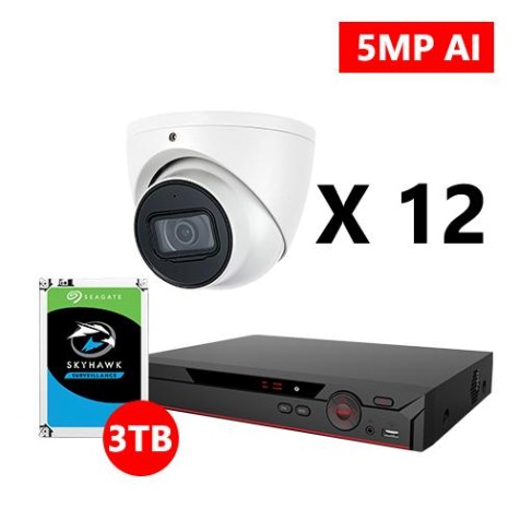 Twelve 5MP IP AI IP Turret White Cameras Kit, Dahua OEM