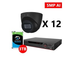 Twelve 5MP IP AI Turret Black Cameras Kit, Dahua OEM