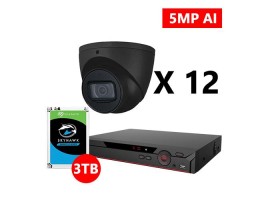 Twelve 5MP IP AI Turret Black Cameras Kit, Dahua OEM