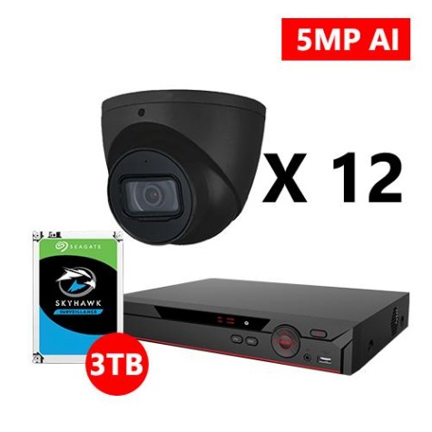 Twelve 5MP IP AI Turret Black Cameras Kit, Dahua OEM