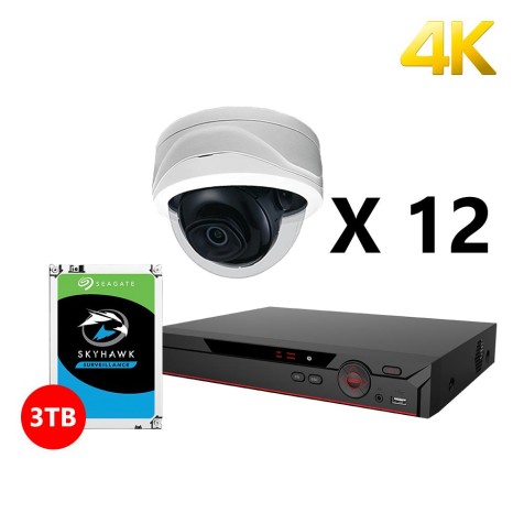 Twelve 4K IP Starlight Dome White Cameras Kit, Dahua OEM