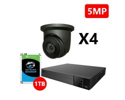 Four 5MP IP Eyeball Black Cameras Kit, EyeOnet