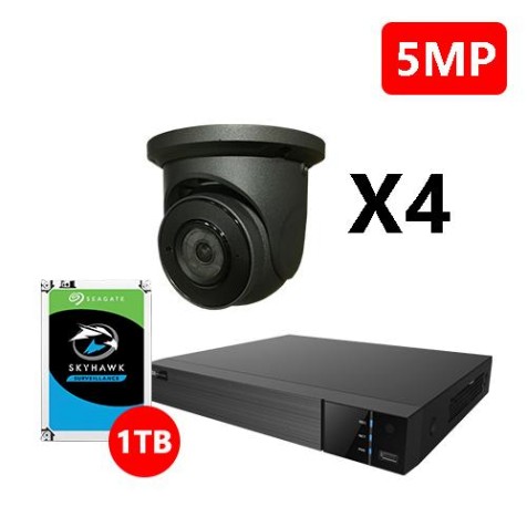 Four 5MP IP Eyeball Black Cameras Kit, EyeOnet