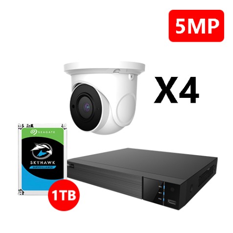 Four 5MP IP Eyeball White Cameras Kit, EyeOnet