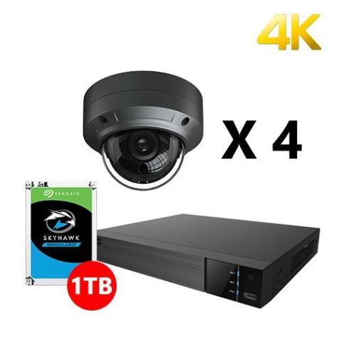 Four 4K IP Dome Black Cameras Kit, EyeOnet