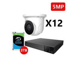 Twelve 5MP IP Eyeball White Cameras Kit, EyeOnet