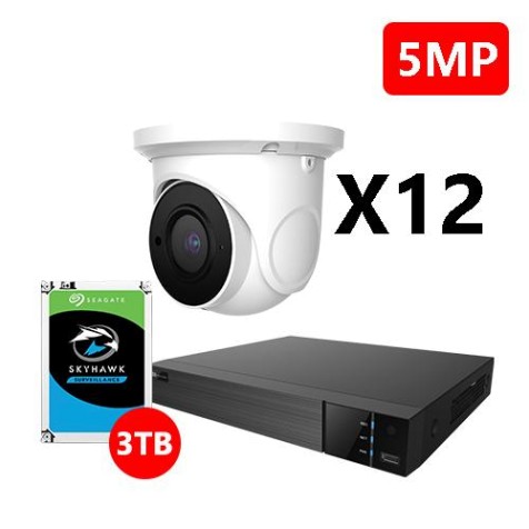 Twelve 5MP IP Eyeball White Cameras Kit, EyeOnet