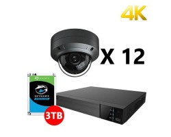 Twelve 4K IP Dome Black Cameras Kit, EyeOnet