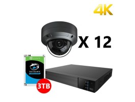 Twelve 4K IP Dome Black Cameras Kit, EyeOnet