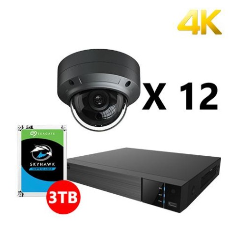 Twelve 4K IP Dome Black Cameras Kit, EyeOnet