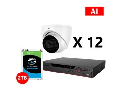 Twelve 5MP HD Analog AI Turret Cameras Kit, Dahua OEM