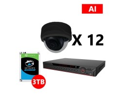 Twelve 5MP IP AI Dome Black Cameras Kit, Dahua OEM