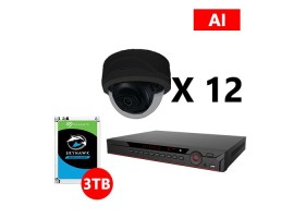 Twelve 5MP IP AI Dome Black Cameras Kit, Dahua OEM