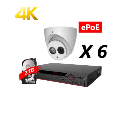 8 Channel, 6 IP 4K Starlight Cameras, DH OEM Kit