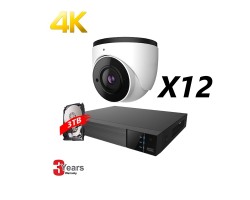 16 Channel, 12 IP 4K Cameras, EyeOnet Kit