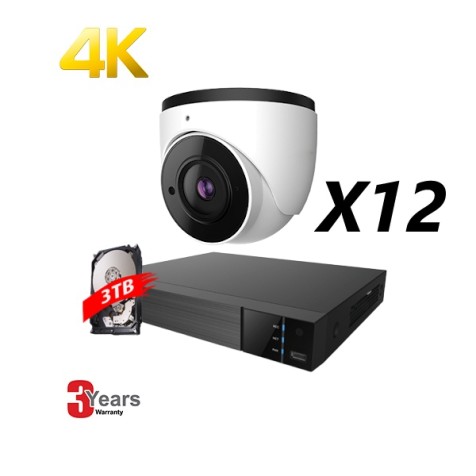 16 Channel, 12 IP 4K Cameras, EyeOnet Kit