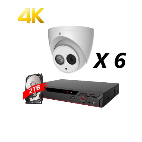 8 Channel, 6 IP 4MP Cameras, DH OEM Kit