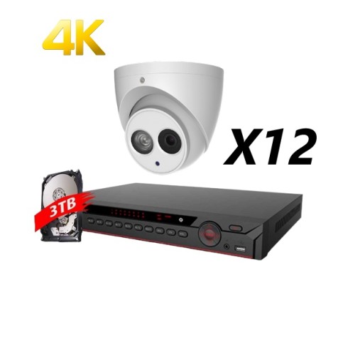 16 Channel, 12 IP 4MP Cameras, DH OEM Kit