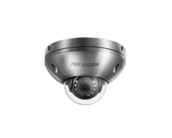 Hikvision 2 MP Anti-Corrosion Network Dome Camera 4mm fixed