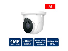 EyeOnet 4MP AI IP Built-in Mic Eyeball